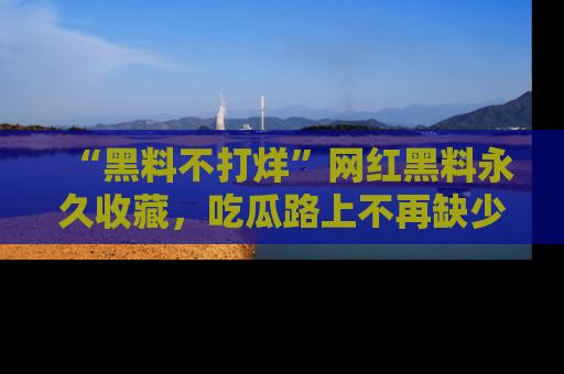 “黑料不打烊”网红黑料永久收藏,吃瓜路上不再缺少惊喜与乐趣