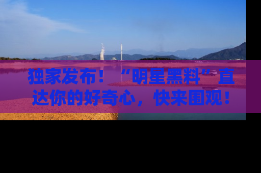 独家发布！“明星黑料”直达你的好奇心，快来围观！