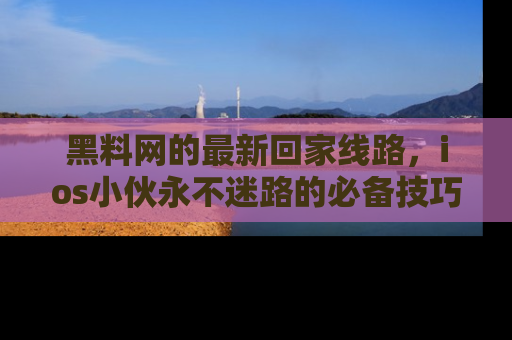黑料网的最新回家线路，ios小伙永不迷路的必备技巧！