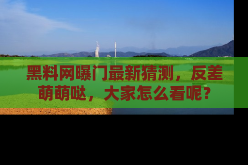 黑料网曝门最新猜测，反差萌萌哒，大家怎么看呢？