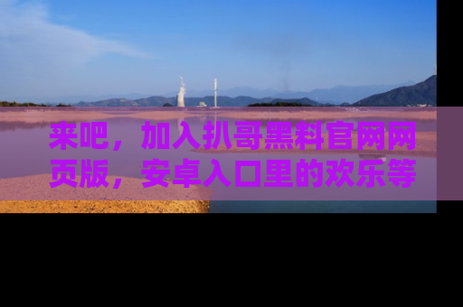 来吧，加入扒哥黑料官网网页版，安卓入口里的欢乐等着你！