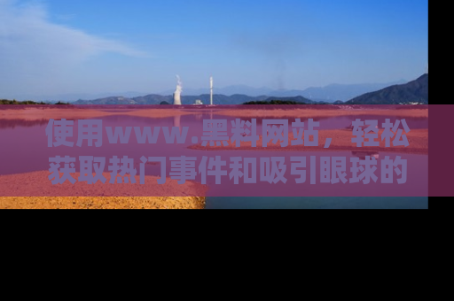 使用www.黑料网站，轻松获取热门事件和吸引眼球的黑料