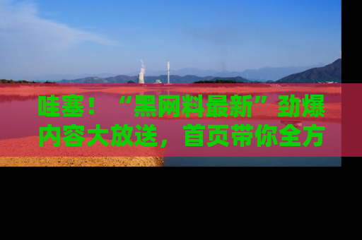 哇塞！“黑网料最新”劲爆内容大放送，首页带你全方位了解哦，小可爱们