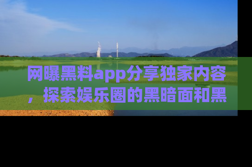 网曝黑料app分享独家内容，探索娱乐圈的黑暗面和黑料