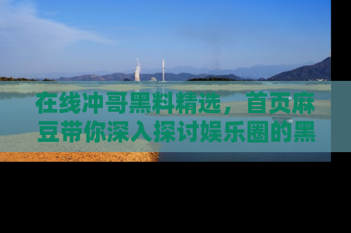 在线冲哥黑料精选，首页麻豆带你深入探讨娱乐圈的黑暗面